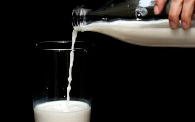 Sade Yağ Yumurta Pişirirken Nasıl Kullanılır?